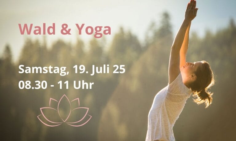 Wald & Yoga – summer sunrise 🌿
