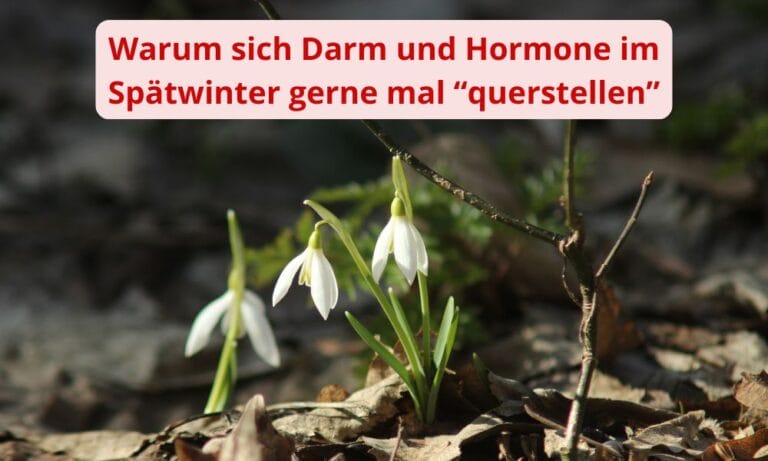 Warum sich Darm und Hormone im Spätwinter gerne mal „querstellen“